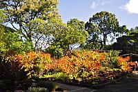 201312 Hawaii Edo 053