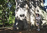 201312 Hawaii Edo 061