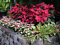 201312HawaiiA 165