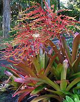 201312HawaiiA 169