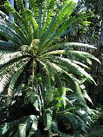 201312HawaiiA 211