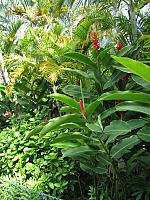 201312HawaiiA 224