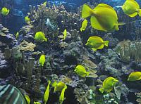201312HawaiiA 314