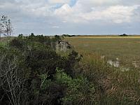 201402Carib 360