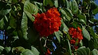 201402CaribK 268