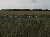 201402Carib 182