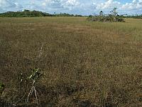 201402Carib 1313