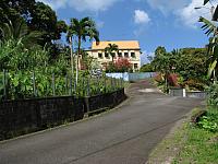 201402Carib 730