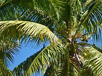 201402CaribK 156