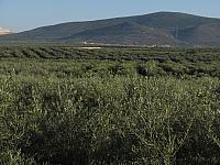201407 Espana 1116