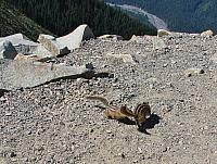 201408 Crystal Mtn 037