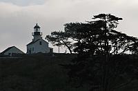 201411 119