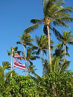 201501 Hawaii 011