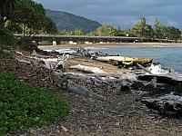 201501 Hawaii 141