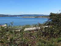 201509OlympicPeninsula 015