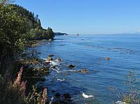 201509OlympicPeninsula 065