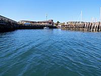 201509OlympicPeninsula 083