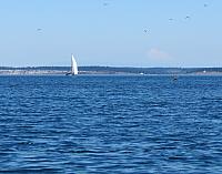 201509OlympicPeninsula 095