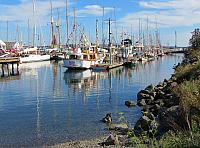 201509OlympicPeninsula 113