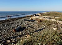 201509OlympicPeninsula 141