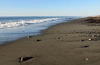 201509OlympicPeninsula 148