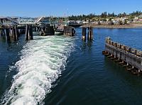 201509OlympicPeninsula 175