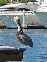 201511 Cabo San Lucas, Mexico