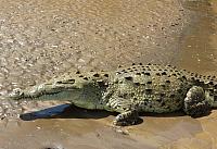 201511 Puntarenas, Costa Rica