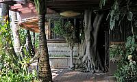 IMG 4050