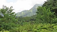 IMG 4131