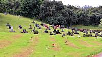 IMG 4181
