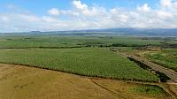IMG 4257