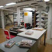 IMG 5255