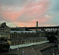 IMG 4800