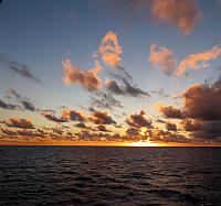 IMG 4821