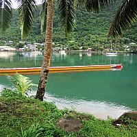 IMG 4993