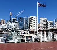 IMG 4458