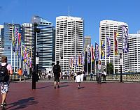 IMG 4469