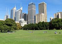 IMG 4568