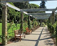 IMG 4585