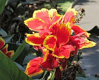 IMG 4586