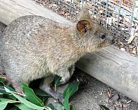 IMG 4768