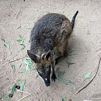 IMG 4770