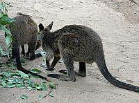 IMG 4776