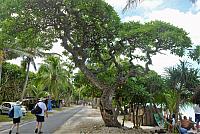 P1100169