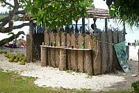 P1100170