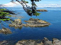 IMG 5634