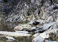 IMG 5641