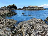 IMG 5648