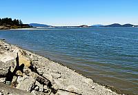 IMG 5749